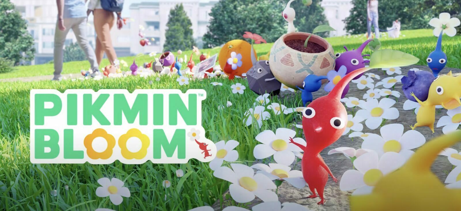 pikmin bloom