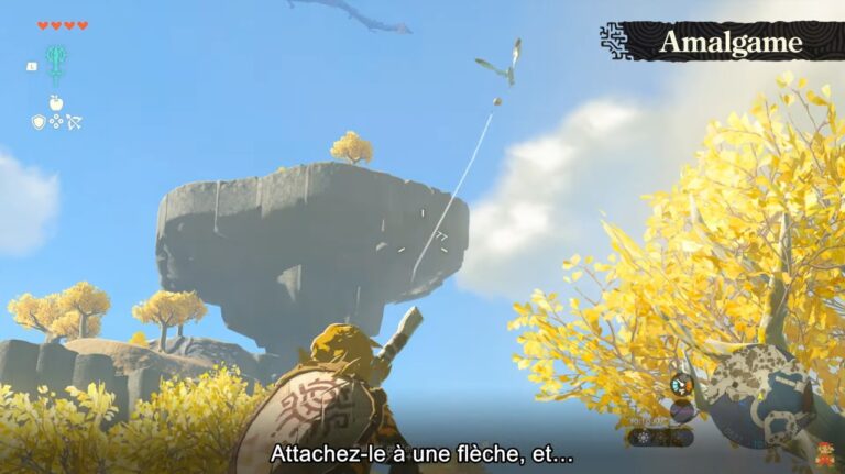 The Legend of Zelda Tears of the Kingdom : Enfin une vidéo de gameplay, la Switch collector annoncée