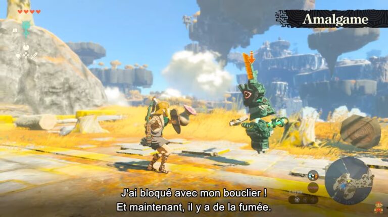 The Legend of Zelda Tears of the Kingdom : Enfin une vidéo de gameplay, la Switch collector annoncée