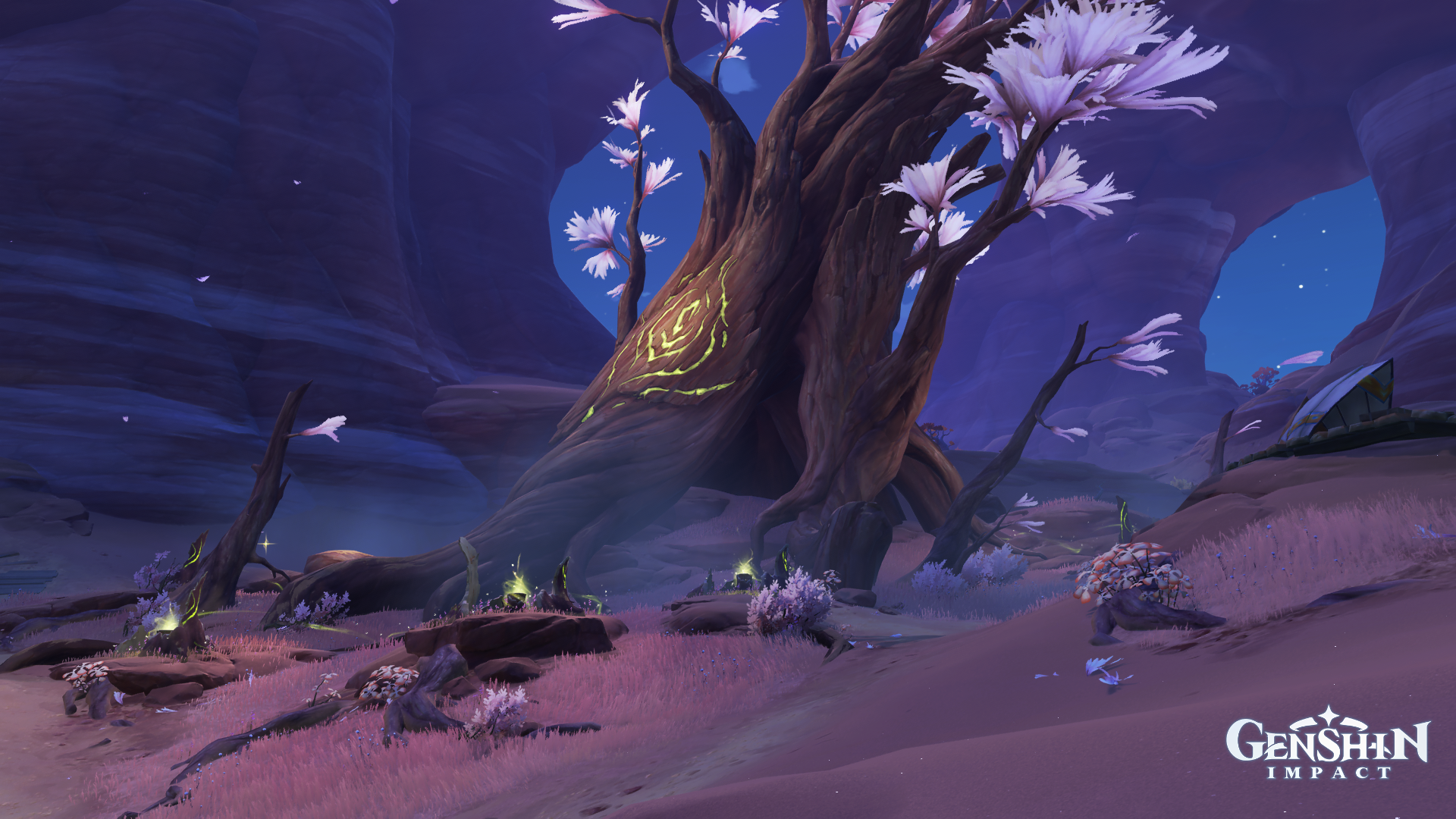 Genshin Impact - Guide : "Khvarena de la moralité : Le vrai son de l'éveil", comment fonctionnent les tambours