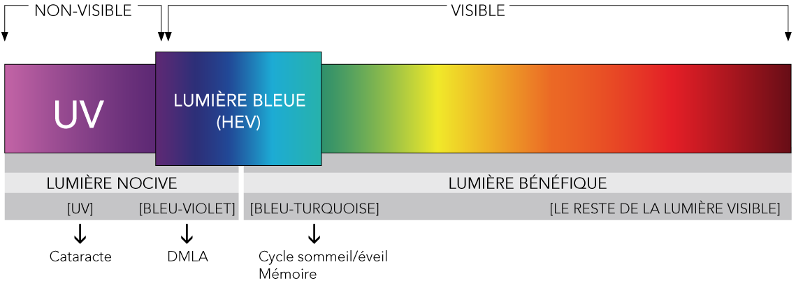 GMG Performance - TEST : Les lunettes anti-lumière bleue alliant style et protection