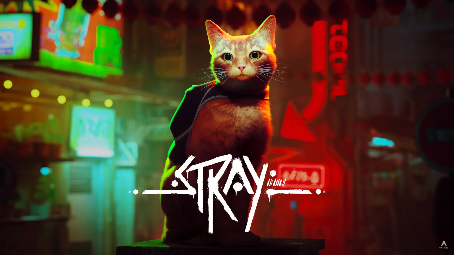 Stray : Le petit chat roux arrive bientôt sur Xbox