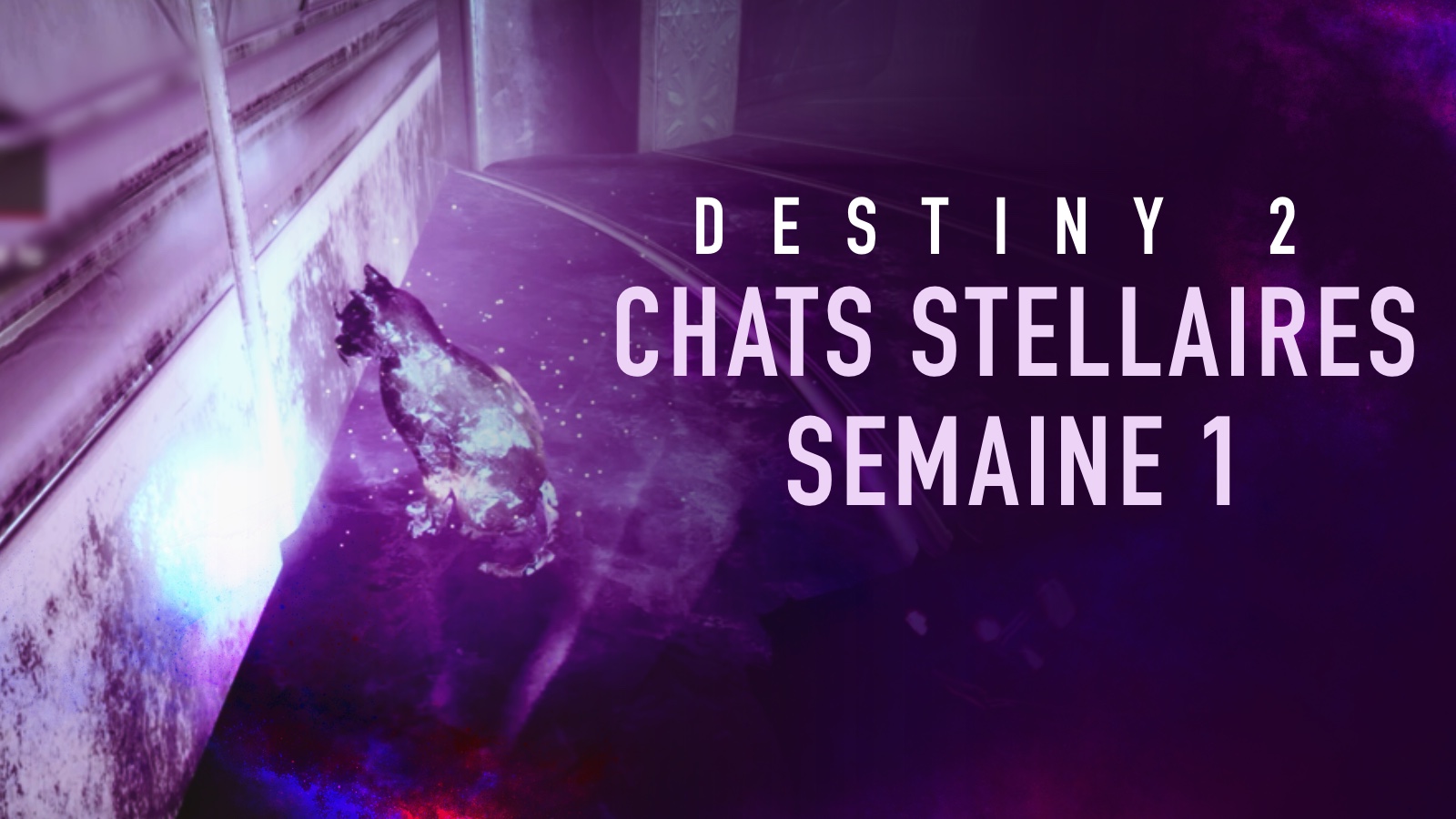 Destiny 2 - Guide : Localisation des deux chats stellaires de la semaine 1