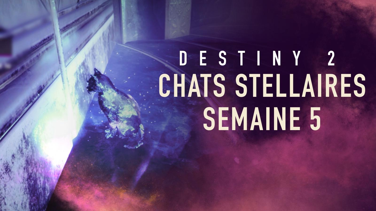 Destiny 2 - Guide : Localisation des chats stellaires de la semaine 5