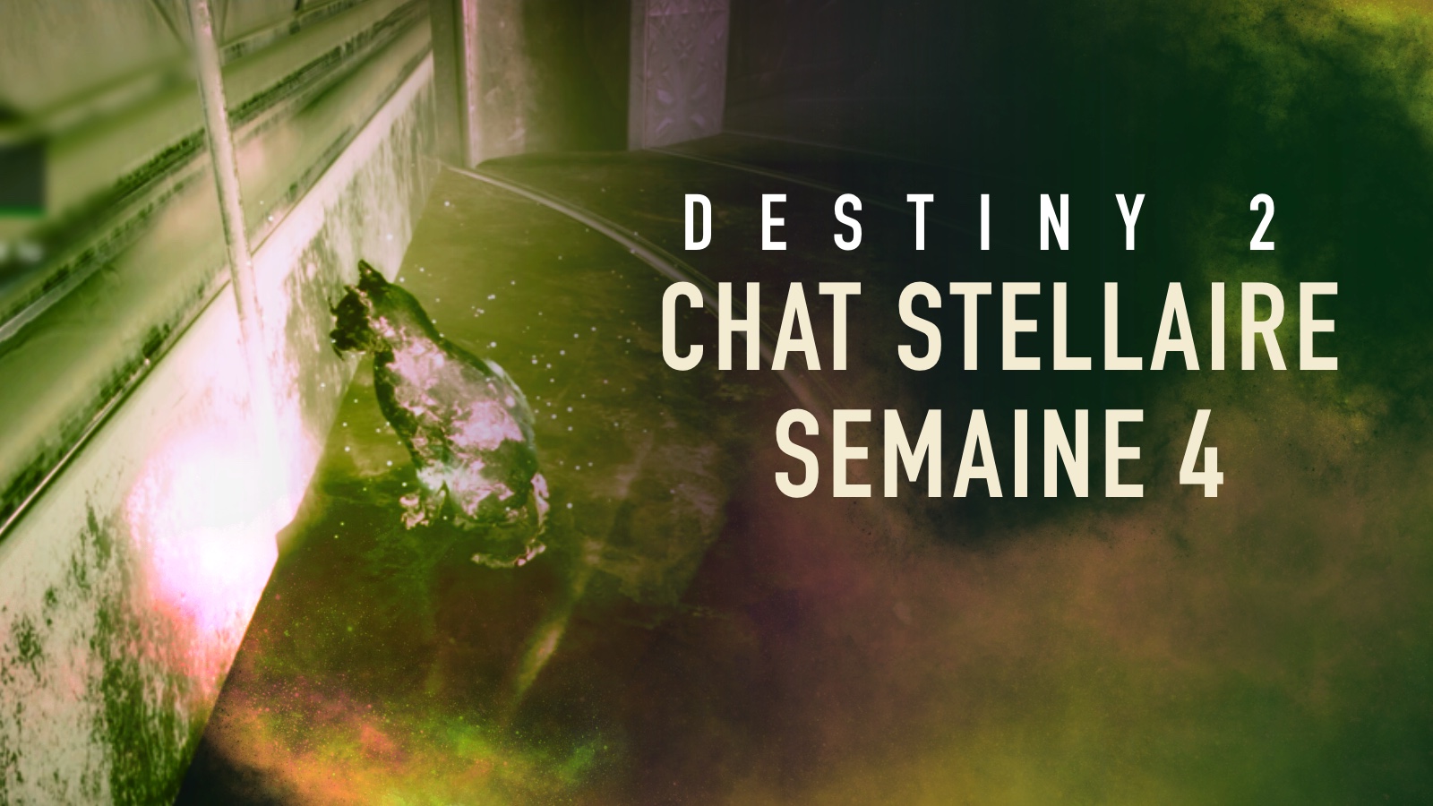 Destiny 2 - Guide : Localisation du chat stellaire de la semaine 4