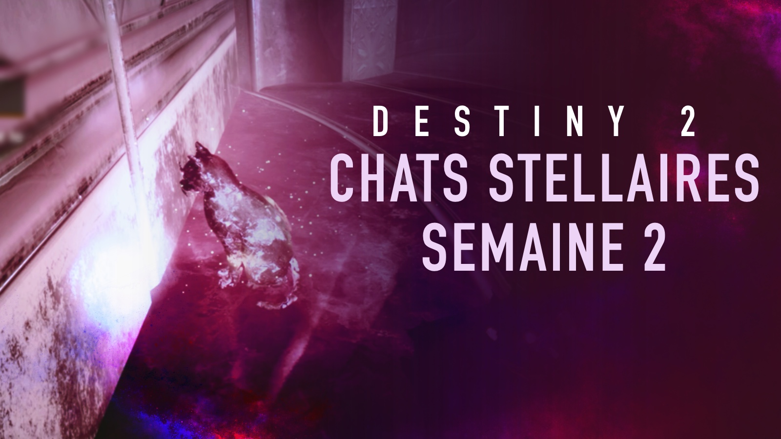 Destiny 2 - Guide : Localisation des quatre chats stellaires de la semaine 2