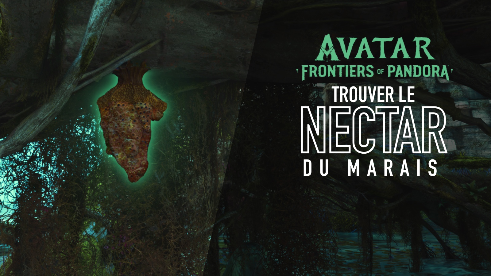 Avatar Frontiers Of Pandora - Guide Quête "L'œil d'Eywa" : Comment trouver le nectar du marais ?