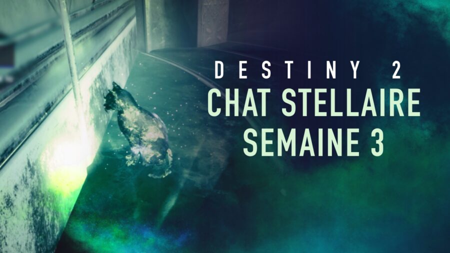 Destiny 2 – Guide : Localisation du chat stellaire de la semaine 3