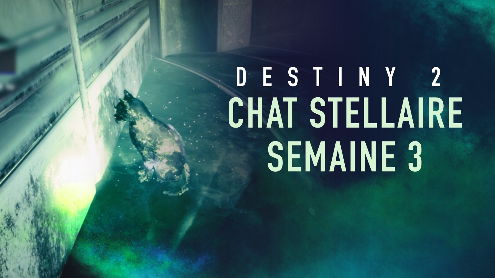 Destiny 2 - Guide : Localisation du chat stellaire de la semaine 3