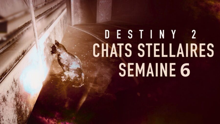 Destiny 2 – Guide : Localisation des quatre chats stellaires de la semaine 6