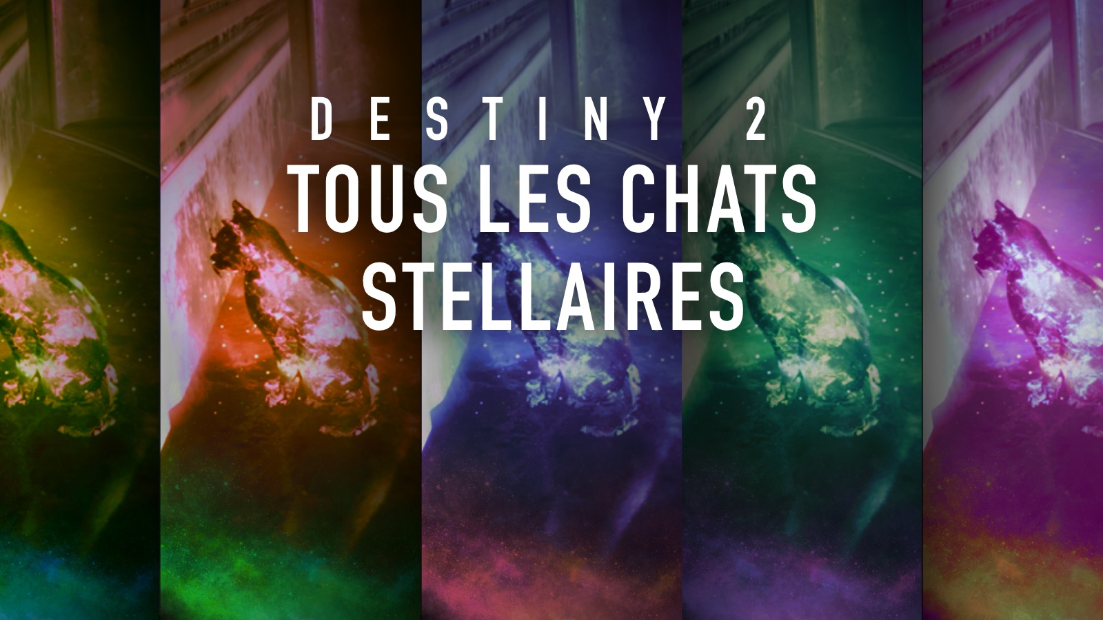 Destiny 2 - Guide : Localisation de tous les chats stellaires