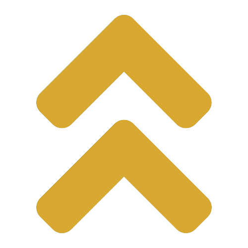 support icon build destiny 2