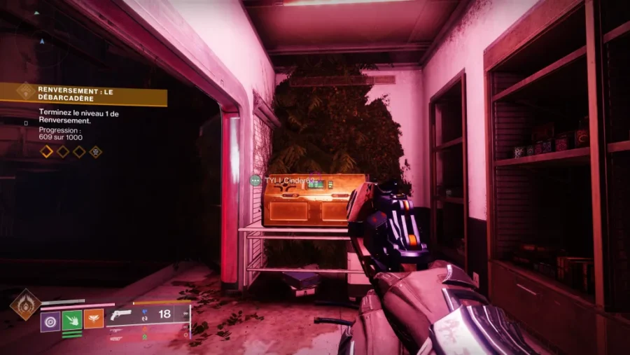 Les emplacements de tous les coffres de région du Cœur pâle dans Destiny 2 : La Forme Finale
